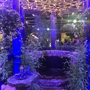 Meet your Posher, Judy